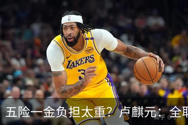 五险一金负担太重？卢麒元：全取消，征房产直接税，经济才会正常